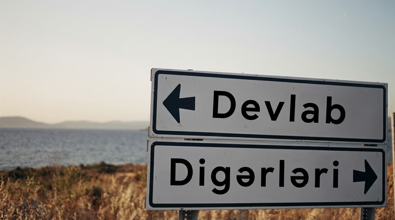 Frontend, backend, data və AI sahələrini göstərən yol ayrıcı